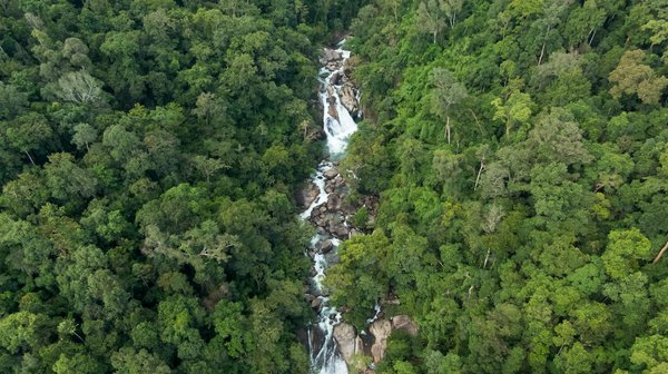 Entrepreneuriat : conseils pratiques pour réussir votre projet